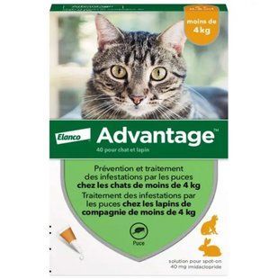 Elanco Bayer Advantage - Краплі Еланко Адвантейдж для кішок та кроликів вагою до 4 кг, 1 піпетка 66550 фото