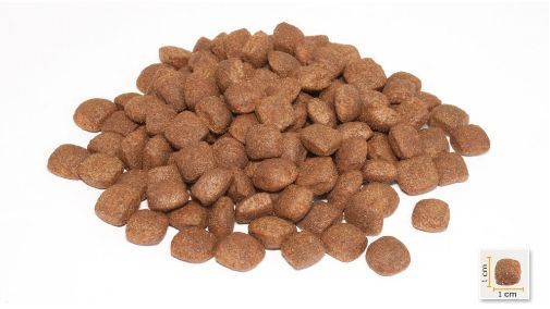 Сухой корм для щенков всех пород суперпремиум класса BonaCibo Puppy Lamb&Rice Ягненок 15 кг (BC405727) BC405727 фото