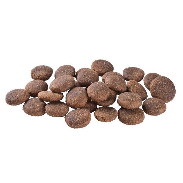 Корм сухий Brit Care Dog Grain-free Adult Large Breed для дорослих собак великих порід беззерновий з лососем 3 кг 172203 фото