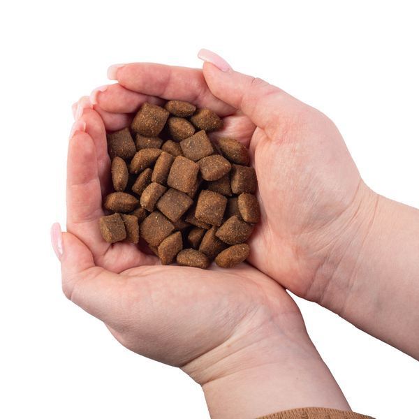 Nature's Protection Superior Care Red Coat Grain Free Salmon Adult All Breeds Сухий беззерновий корм для дорослих собак усіх порід з рудим забарвленням з лососем, 10 кг NPSC47235 фото