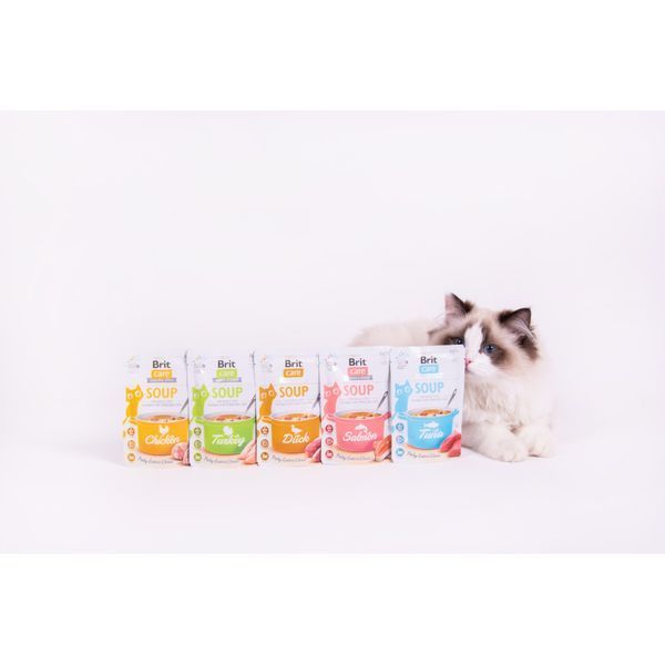 Корм влажный Brit Care Soup Turkey д/котов суп с индейкой 75 г 101057 фото