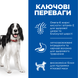 Hill's SCIENCE PLAN Adult Влажный корм для взрослых собак, с курицей, консерва, 370 г 608101 фото 2