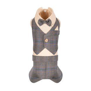 Костюм святковий Pet Fashion Happy для собак S PR244482 фото