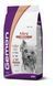 GEMON Dog Mini Adult лосось с рисом 70386067 фото 1