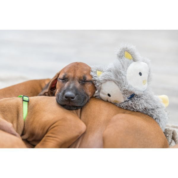 Іграшка Trixie для цуценят звисаюча плюш 33 см 36179 фото