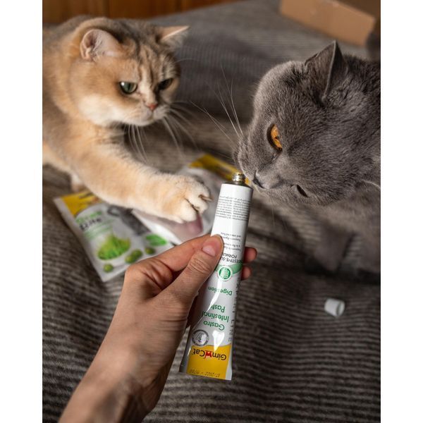 Витамины GimCat Expert Line Gastro Intestinal для котов паста для улучшения пищеварения 50 г G-417950/417462 фото