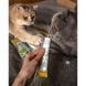 Витамины GimCat Expert Line Gastro Intestinal для котов паста для улучшения пищеварения 50 г G-417950/417462 фото 4
