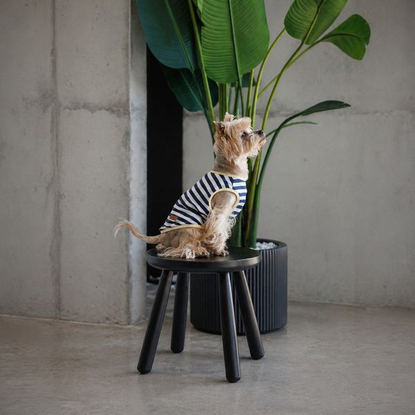Майка Pet Fashion Tropic для собак S PR244577 фото
