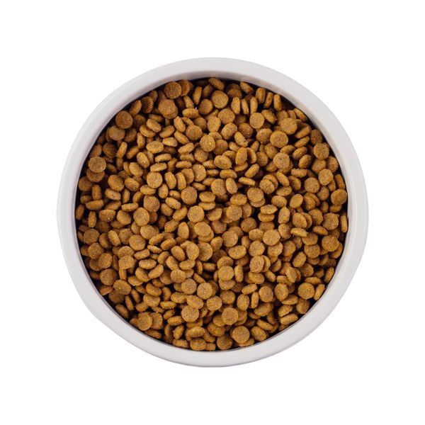 Nature's Protection Mini Adult Small Breeds Сухой корм для взрослых собак малых пород с мясом птицы, 18 кг NPB46028 фото