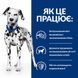Hill's PRESCRIPTION DIET Сухой корм для собак уход за мочевыделительной системой, 10 кг 605840 фото 4
