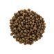 Корм сухой Brit Care Cat Grain Free Kitten HGrowth Development для котят для здорового роста и развития 400 г 171279/0686 фото 2