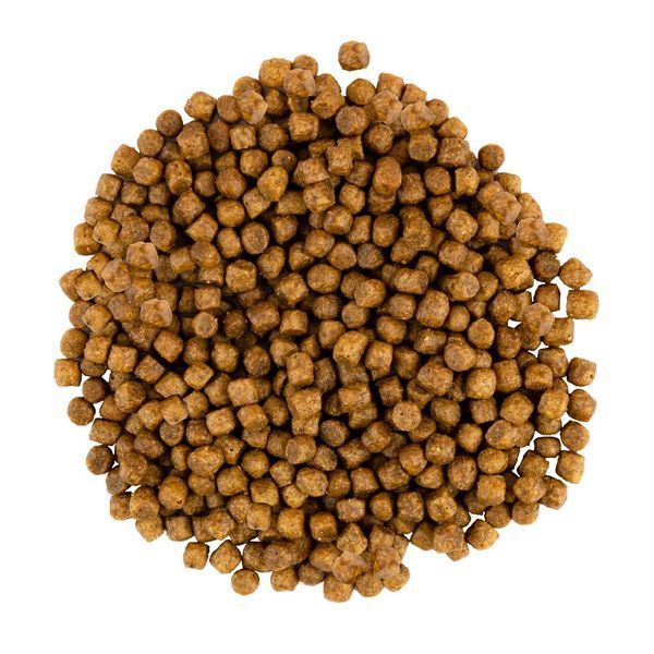 Корм сухой Savory Kitten rich in Fresh Turkey and Chicken для котят всех пород со свежей индейкой и курицей 400 г 30136 фото