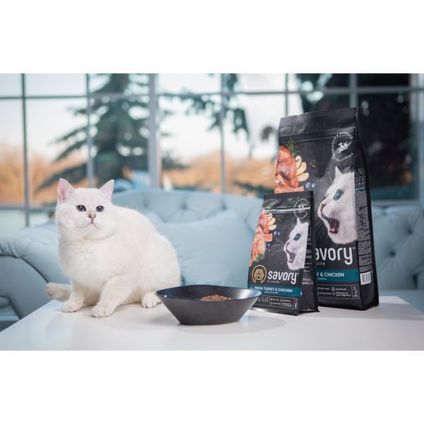 Корм сухой Savory Kitten rich in Fresh Turkey and Chicken для котят всех пород со свежей индейкой и курицей 2 кг 30143 фото