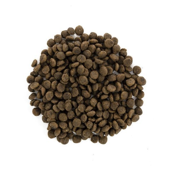Корм сухой Brit Care Grain Free Mini Puppy Lamb для щенков и молодых собак миниатюрных пород с ягненком 400 г 170774/0145 фото