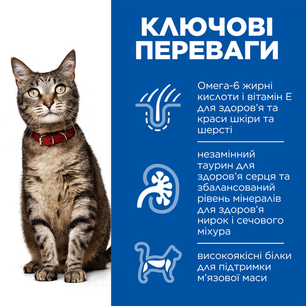 Hill's SCIENCE PLAN Adult Сухий корм для дорослих котів, з ягням, 1,5 кг 604066 фото