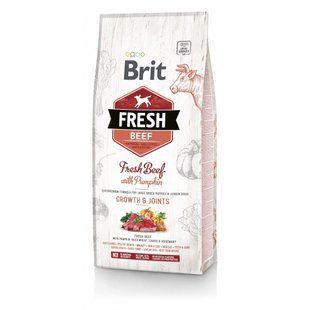 Корм сухой Brit Fresh Beef/Pumpkin Puppy Large для щенят и молодых собак крупных пород с говядиной и тыквой 12 кг 170991/530755 фото