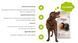 Сухий корм для дорослих собак суперпреміум класу BonaCibo Adult Dog Курка 15 кг (BC405765) BC405765 фото 6