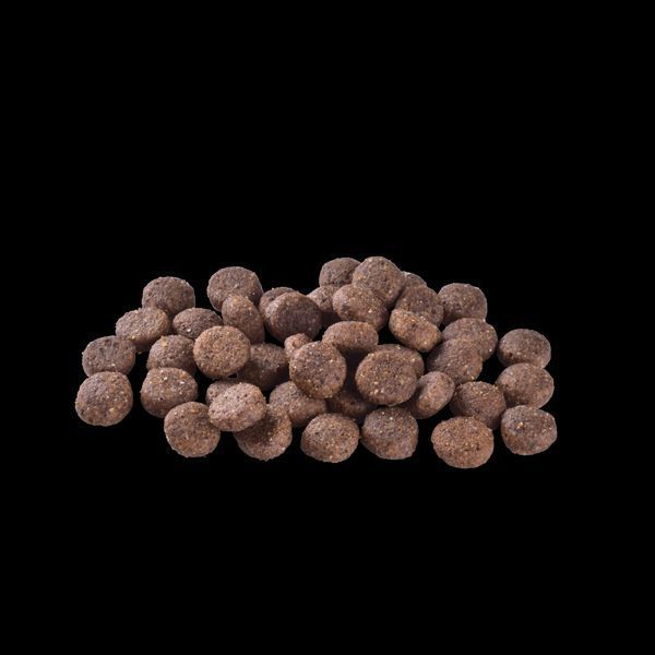 Корм сухий Brit Care Dog Grain-free Adult для дорослих собак малих і середніх порід беззерновий з лососем 3 кг 172197 фото