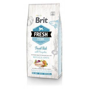 Корм сухой Brit Fresh Fish/Pumpkin Adult Large для взрослых собак крупных пород для мышц и суставов с рыбой и тыквой... 170993/530779 фото