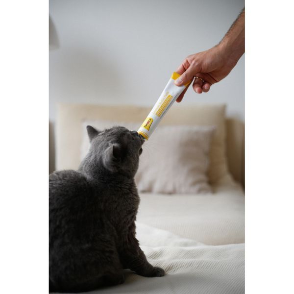 Паста GimCat Cheese Biotin Paste для котів усіх порід cирна з біотином 100г G-401010 фото