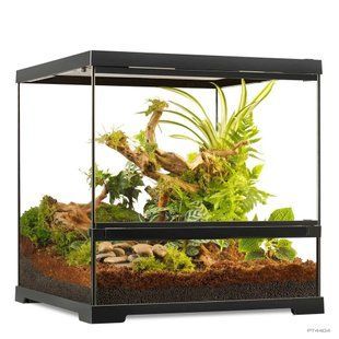 Террариум ExoTerra для экзотических животных Pro Terrarium стеклянный 45x45x45 см PT4404 фото