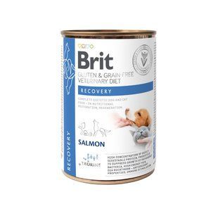 Влажный корм Brit Grain Free Veterinary Diets Recovery для взрослых собак и кошек для восстановления после болезни... 100291 фото