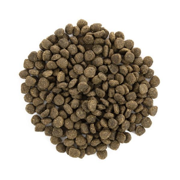 Корм сухой Brit Care Grain Free Mini Adult Lamb для взрослых собак миниатюрных пород с ягненком 2 кг 170770/0107 фото