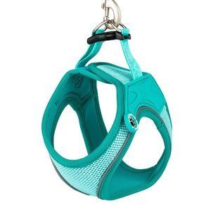 Max&Molly (Макс енд Моллі) Air Vest Harness Matrix 2.0 - Шлея для собак Turquoise бірюзового кольору, XXS 306069 фото
