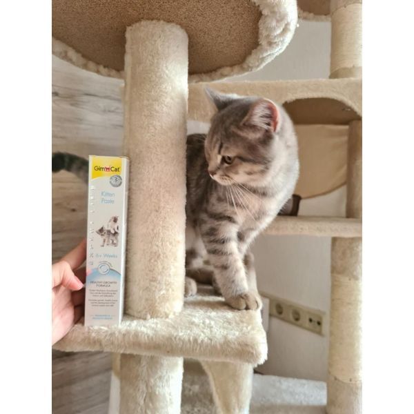 Вітаміни GimCat Expert Line Kitten для кошенят вітамінізована паста 50 г G-426167/ 406787 фото