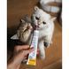 Вітаміни GimCat Expert Line Kitten для кошенят вітамінізована паста 50 г G-426167/ 406787 фото 5