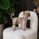 Шорти Pet Fashion Leo для собак S PR244566 фото 3