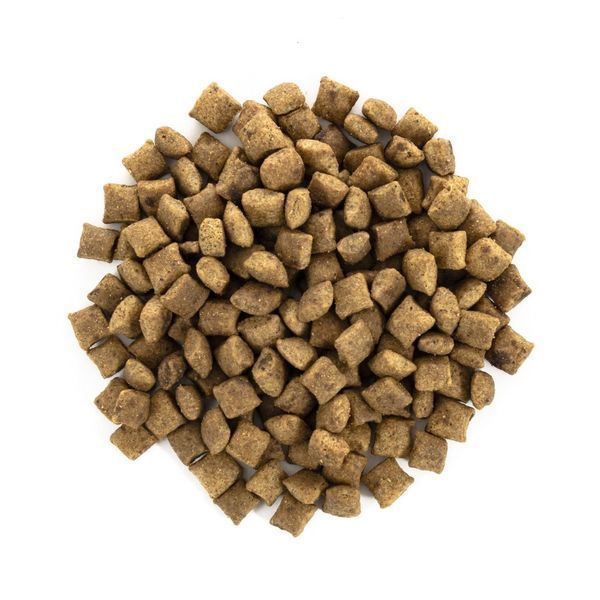 Корм сухий Brit Care Cat Grain Free Sterilized Weight Control для стерилізованих котів з надмірною вагою з качкою та індичкою 7 кг 171293/0785 фото