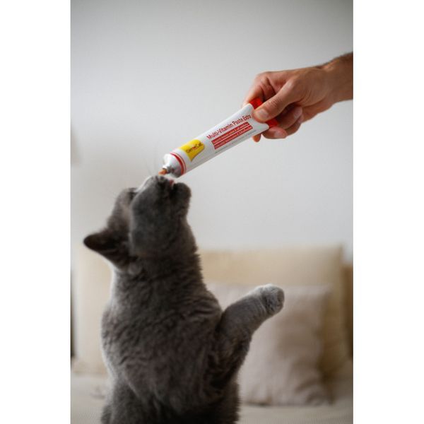 Витамины GimCat Every Day Extra мультивитаминная паста для котов для улучшения иммунитета 100 г G-421612/401324 фото