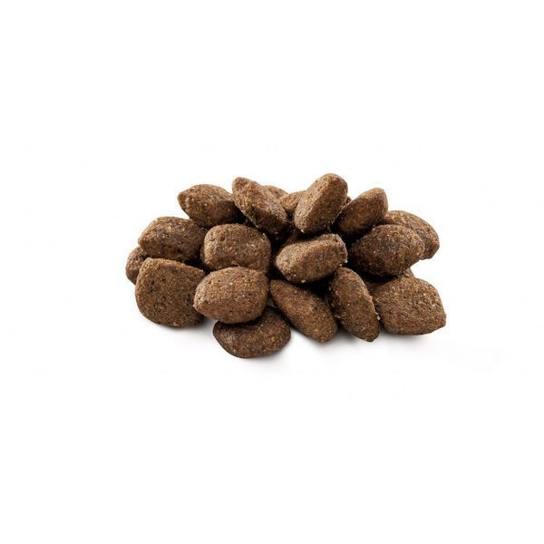 Корм сухий Brit Premium Dog Sensitive Lamb для собак з чутливим травленням з ягням 1 кг 170842/6611 фото