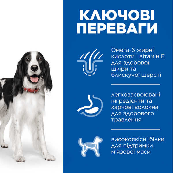 Hill&rsquo;s SCIENCE PLAN Adult Medium Breed Сухой корм для взрослых собак средних пород, с курицей, 2,5 кг 604274 фото
