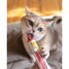 Витамины GimCat Every Day Extra мультивитаминная паста для котов для улучшения иммунитета 100 г G-421612/401324 фото 6