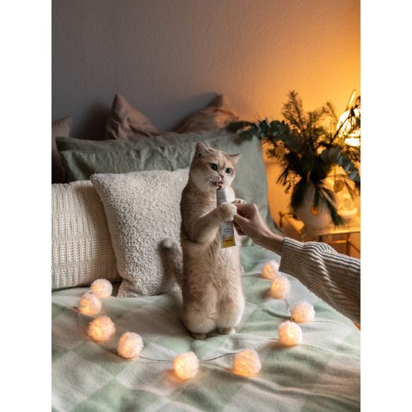 Витамины GimCat Expert Line Relax паста для котов для преодоления стресса и тревожных состояний 50 г G-421698 фото