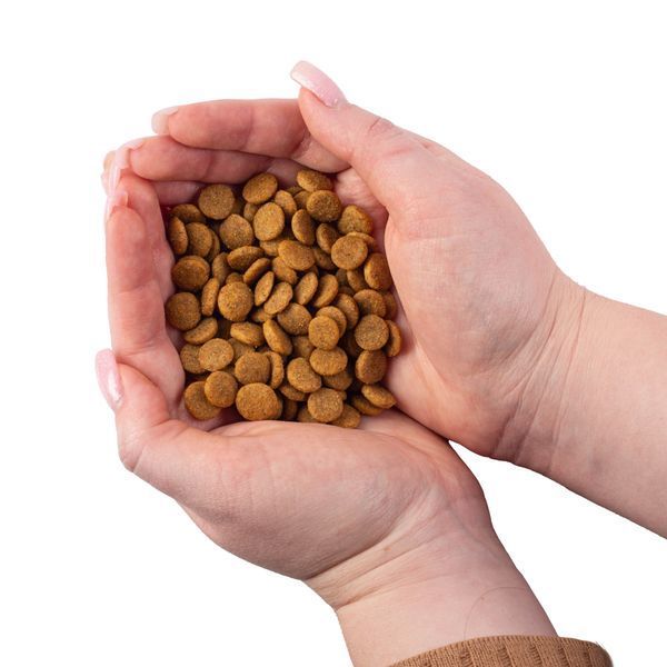 Nature's Protection Adult All Breeds Сухой корм для взрослых собак всех пород с мясом птицы, 18 кг NPB46029 фото