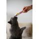Витамины GimCat Every Day Extra мультивитаминная паста для котов для улучшения иммунитета 50 г G-401300/421605 фото 4