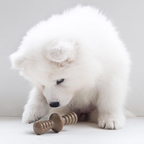 Набір з 2 іграшок Benebone Puppy Pack для гризіння зі смаком клену + бекону для цуценят вагою до 7 кг 650400 фото