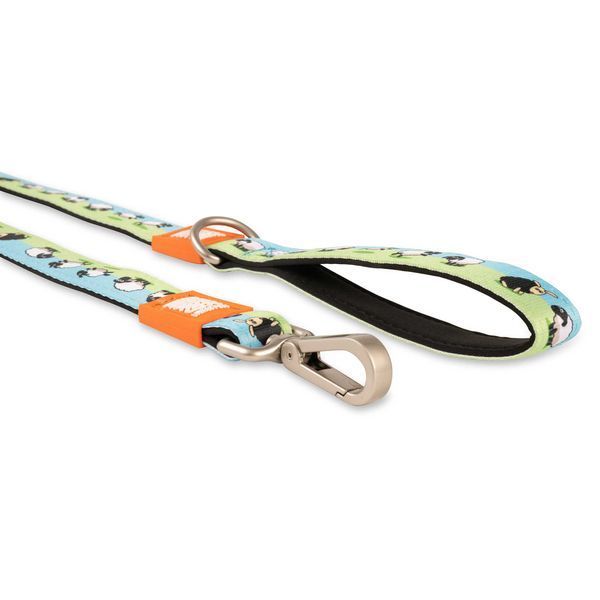 Max&Molly (Макс енд Моллі) Short Leash - Повідець короткий для собак Black Sheep з принтом Чорна овечка, M 189007 фото
