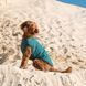 Жилет Pet Fashion E.Vest для собак морская волна SМ PR242414 фото 5
