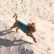 Жилет Pet Fashion E.Vest для собак морская волна SМ PR242414 фото 4