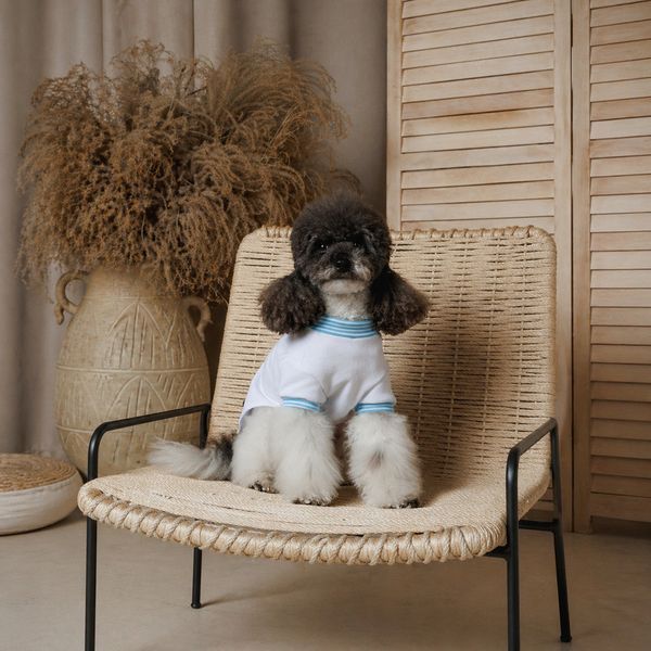 Футболка Pet Fashion Polo для собак S PR244639***** фото