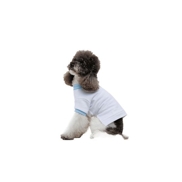 Футболка Pet Fashion Polo для собак S PR244639***** фото