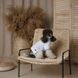 Футболка Pet Fashion Polo для собак S PR244639***** фото 5