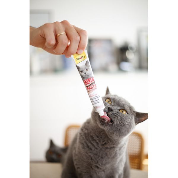 Паста GimCat DUO PASTE Anti-hairboll malt with chicken для котів з чутливим травленням усіх порід мальт та курка 50г G-427201 фото