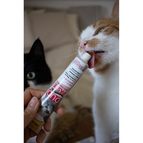 Паста GimCat DUO PASTE Anti-hairboll malt with chicken для котів з чутливим травленням усіх порід мальт та курка 50г G-427201 фото