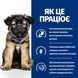 Hill's PRESCRIPTION DIET i/d Puppy з ActivBiome+ Digestion Сухий корм для цуценят догляд за травленням, з куркою, 1,5 кг 609596 фото 3