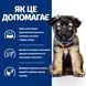 Hill's PRESCRIPTION DIET i/d Puppy з ActivBiome+ Digestion Сухий корм для цуценят догляд за травленням, з куркою, 1,5 кг 609596 фото 4